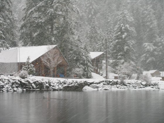 Totem Inn with snow blanket Jan 5 2015.